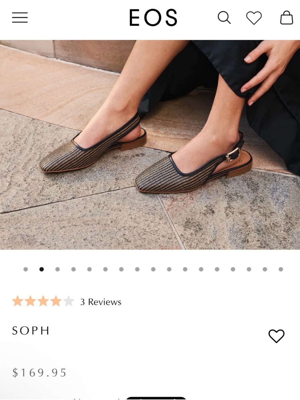 eos Soph Pointed Woven Slingback Flats in Brown and Black Trim